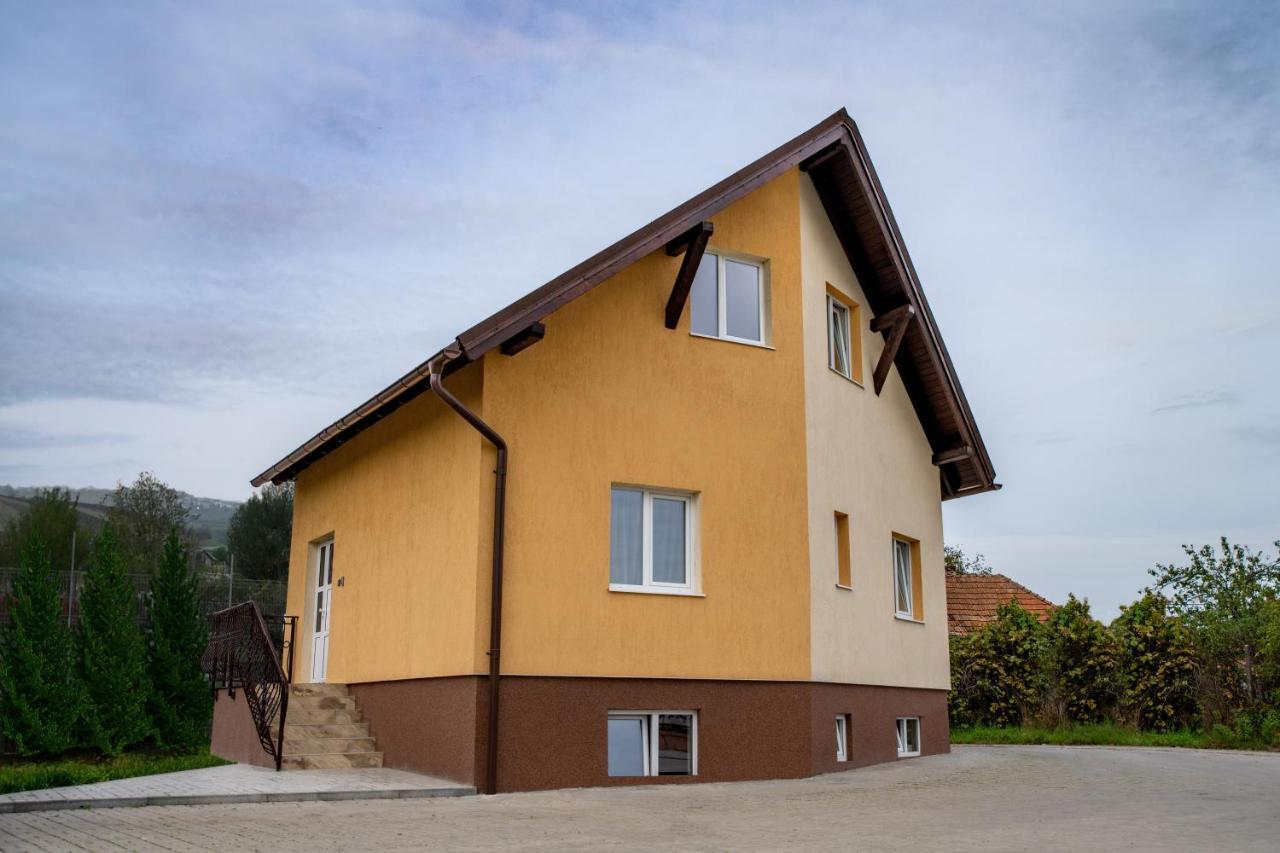 Pensiunea Zbor Kluž Exteriér fotografie